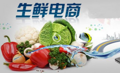 南京冷链物流公司有哪些（冷链物流运费一般多少）
